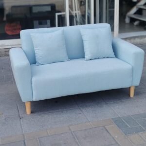 Light Blue Fabric 2 Seater Loveseat Sofa with Wooden Legs